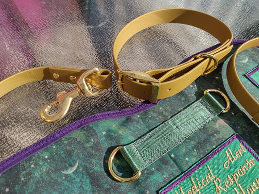 Biothane Buckle Collar