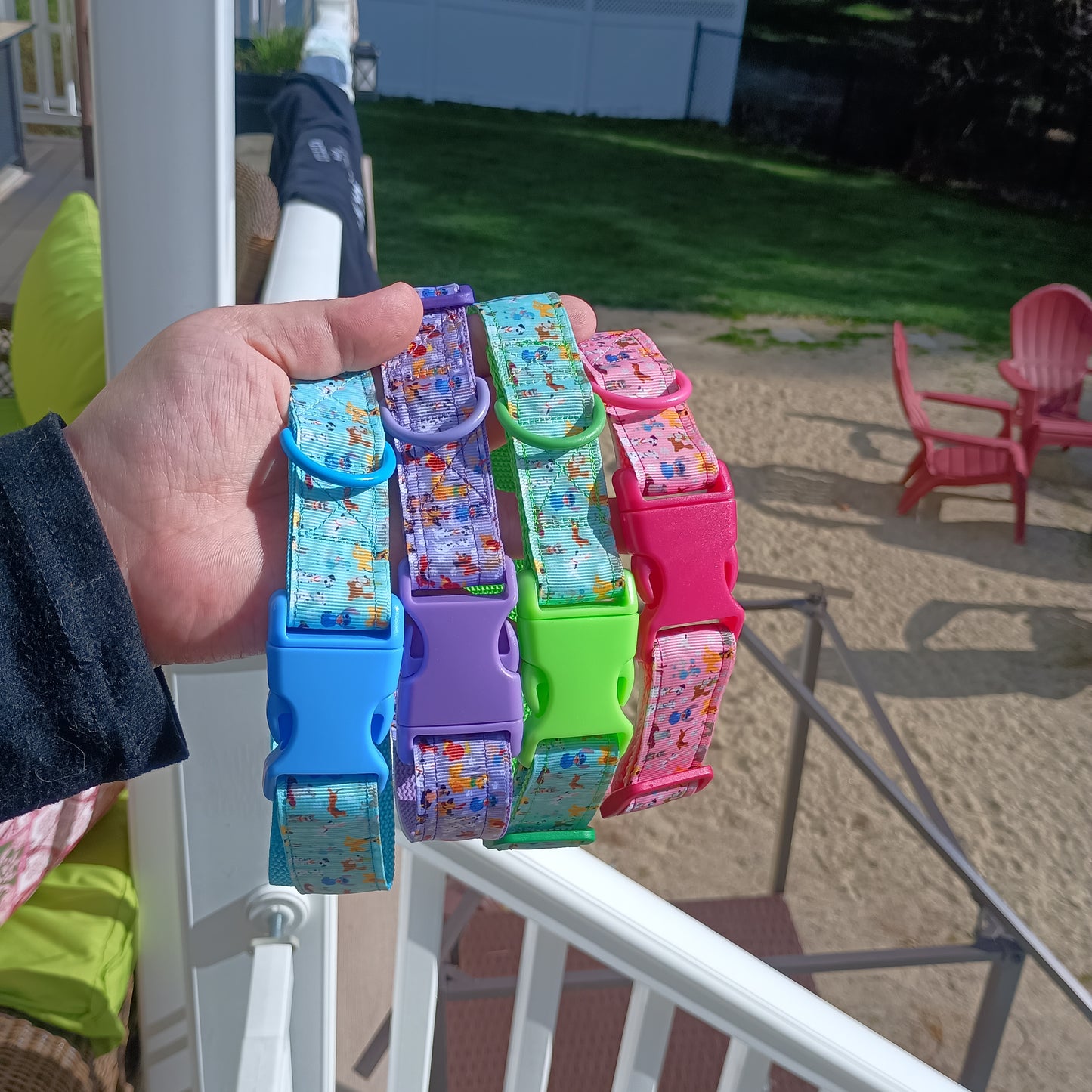 Disney Dogs Collar