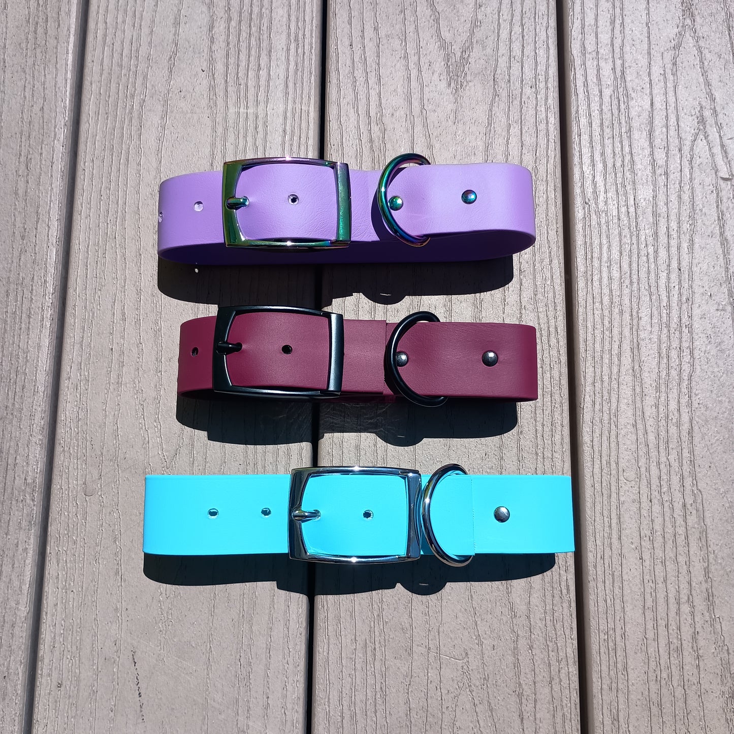 Biothane Buckle Collar