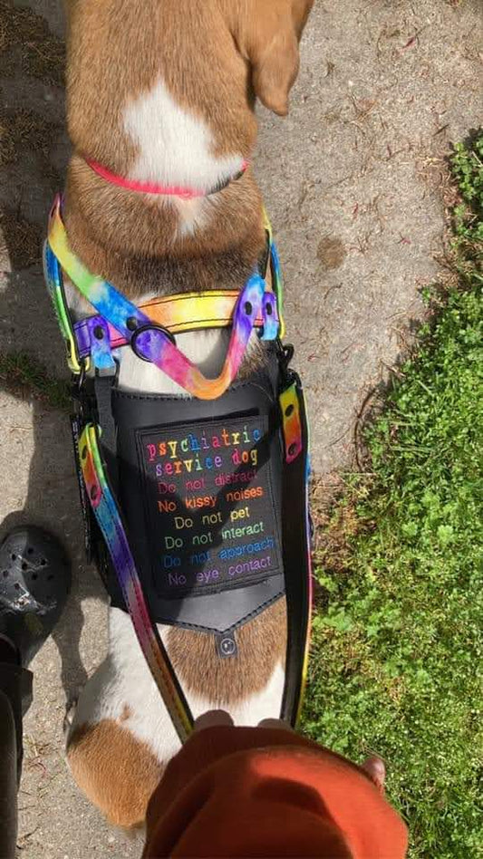 Rainbow Patches