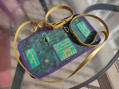 Biothane Standard Leash