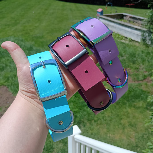 Biothane Buckle Collar