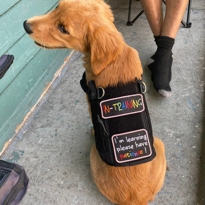 Rainbow Training Patches