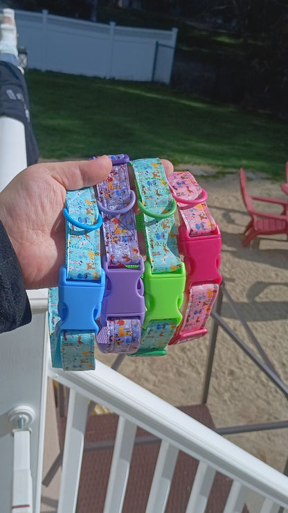 Disney Dogs Collar