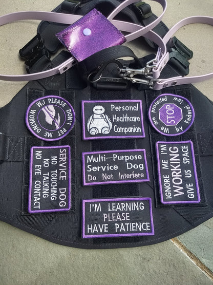 Professional Patch Set