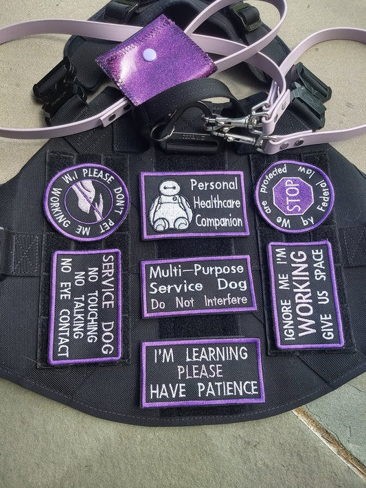 Professional Patch Set